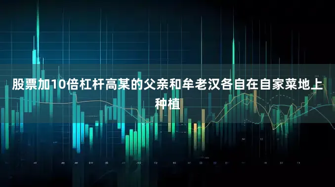 股票加10倍杠杆高某的父亲和牟老汉各自在自家菜地上种植
