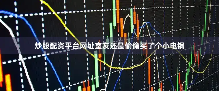 炒股配资平台网址室友还是偷偷买了个小电锅