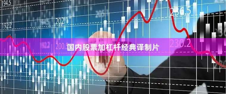 国内股票加杠杆经典译制片